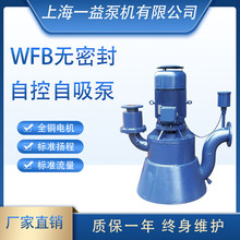 WFBϵ�Пo�ܷ��Կ������� �Կ���ʽ������ˮ��100WFB-  ��