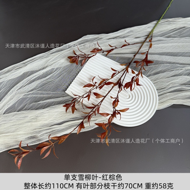 단일 눈 버드 나무