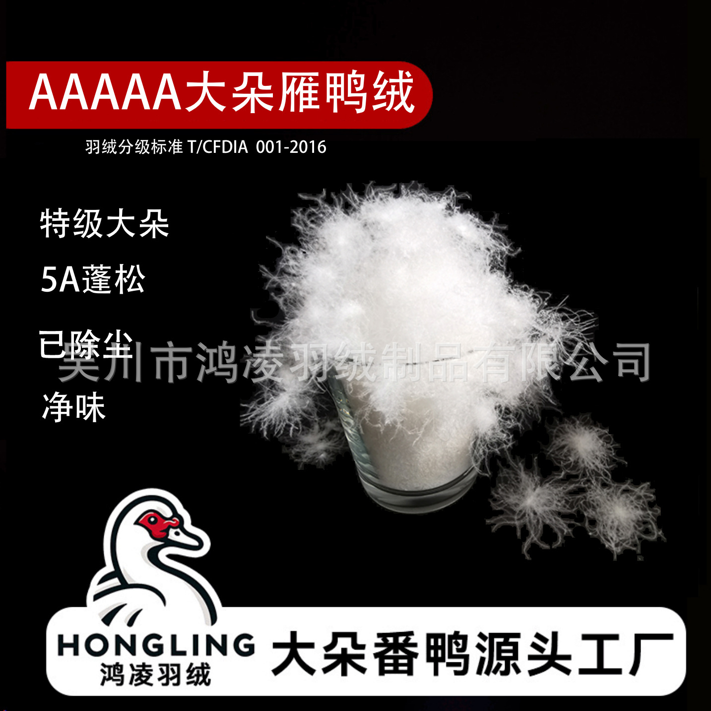 5AAAAA+大朵雁鸭绒已除尘净味高蓬松番鸭绒1500清洁度鸿凌羽绒