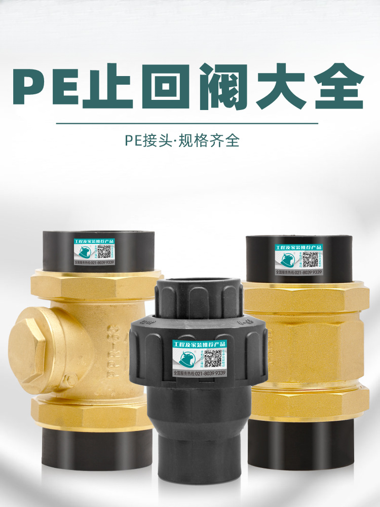 PE回水止回阀单向阀逆止阀32水泵立式热熔塑料50水管防倒流止水阀