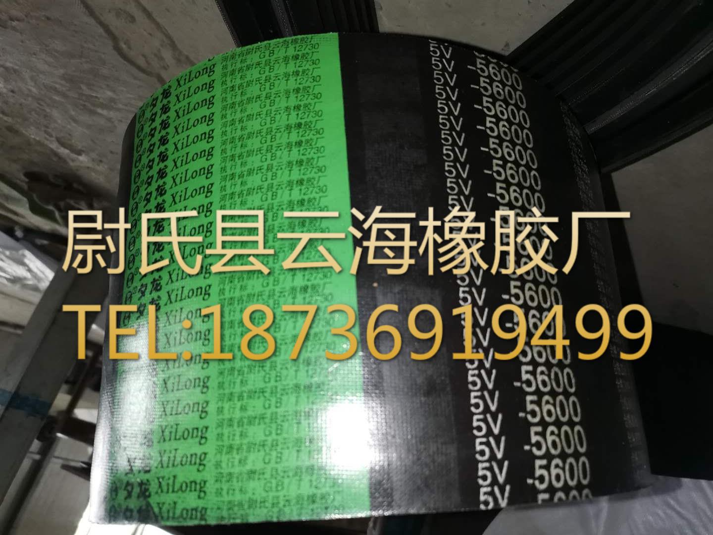5V联组-5600窄V联组带 5V联组三角带 机械设备用三角带 窄V联组带