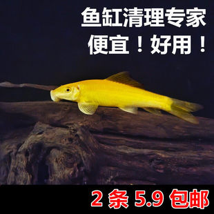 ��̦���̦���~�Ꭷ�^�p�~��������~�~�׳����~�坍�~���w�����~