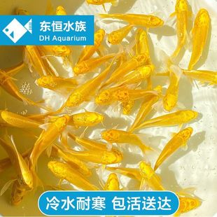 ��ؔ��ˮ�~�ͻ���B�S�����P�\����ˮ�д����^�p�~�؃r����ɻ��B