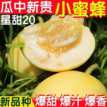 ɽ�|С�۷��������20����ϱ�Ƥ������r���ǹ������۹Ϯ�������