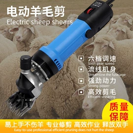 电剪刀;电动工具配件;宠物电推剪