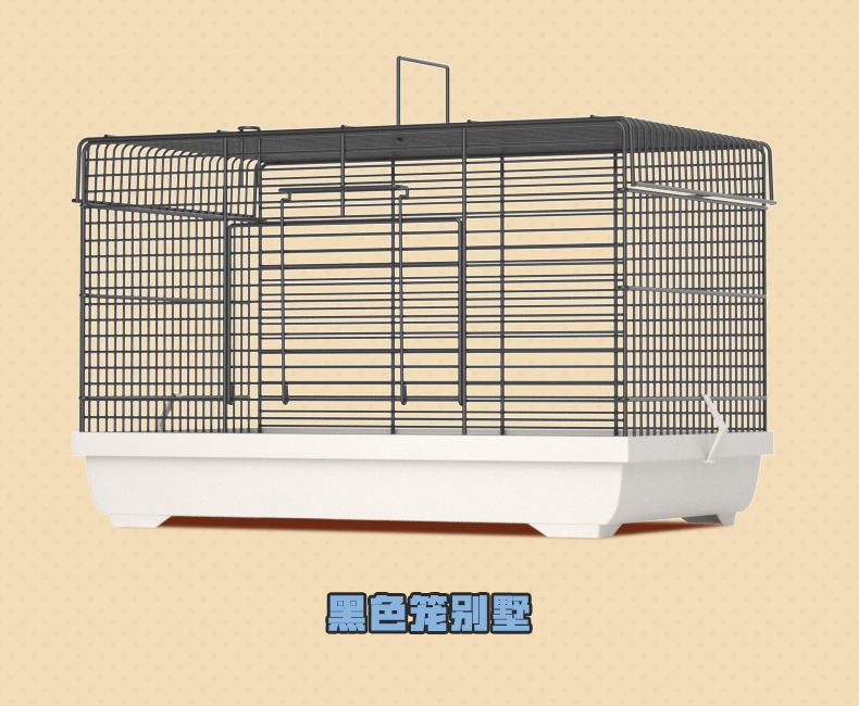 e9decf4f-a3f6-43e9-8e96-35a050faa0d0.jpe