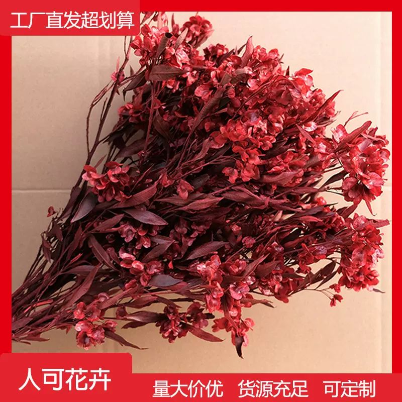 永生迎客豆蝴蝶花真花年宵花客厅装饰样板房家居软装复古新年花艺