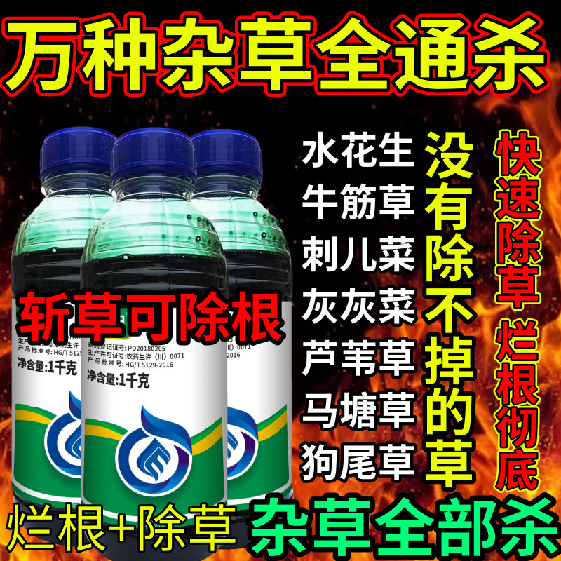 万种杂草全通杀死根草剂斩草除根荒地果园专用除草剂草铵膦除草