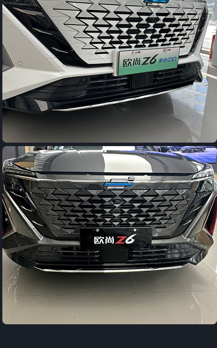 Changan Oushang Z6 anti-insect net, front bumper radiator protection net, front grille exterior modification accessories, non-destructive and detachable