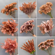 c滨ɫYɫϵbĻYˇɫ[ٻ