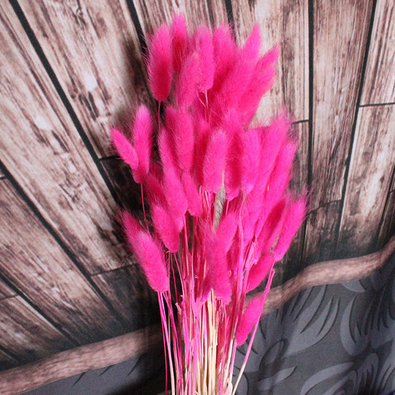 11900819818_511691582