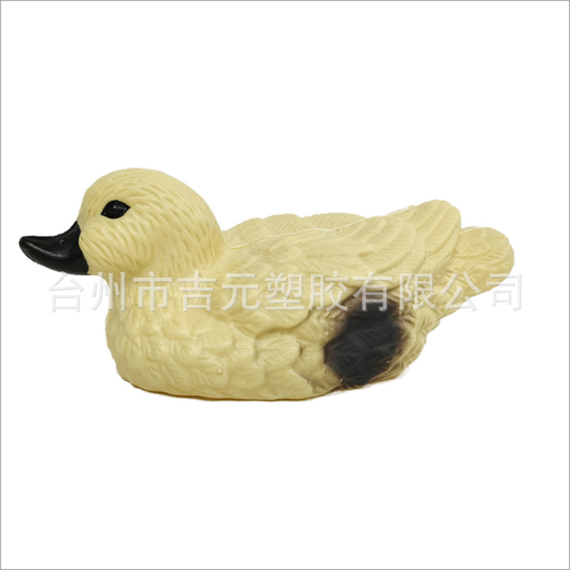 납작발 오리
