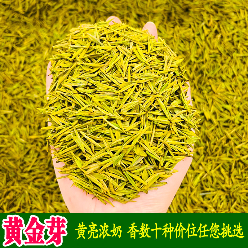 Gift-Giving 2026 New Tea Spring Tea Leaves Green Tea Wholesale Bulk Anji Craft Aidafu Zhejiang Golden Bud White Tea