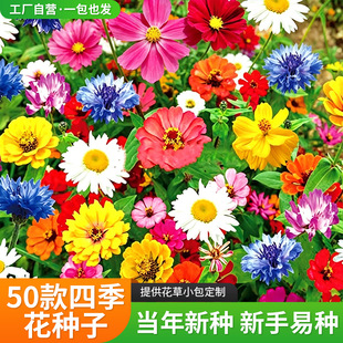 ���ܷN�ӻ����ļ��N�����l�M����̫ꖻ��Ѳ�˹���r�հ��ղ����տ�