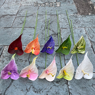 �¿�����t���������S�� EVA��t�� ��c�Ҿ�ܛ�b���߼ٻ����l