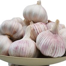 2025���¸����ϰ�Ƥ�����^���ӷN��ɽ�|���l����Դ�^���Sһ�����l