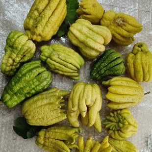 ���r���ָ�ʳ�ù�����覴ö�����Ƥ����ʳ���ԃr�ȸߣ��������ģ�