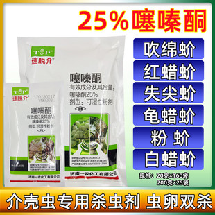 ����һ�r��Ó��25%���ͪ����~򻚤�x��ʭ�ӼtϞ���rș���x��