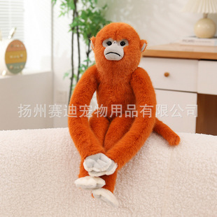 �羳�����z��ë�q���Є������˺�����ż��ͯ�����������նY��