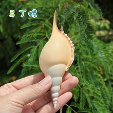 ��Ȼ����ؐ���R���ݶ̱����ղؘ˱��ݵ��к��Ҿә����b���YƷ