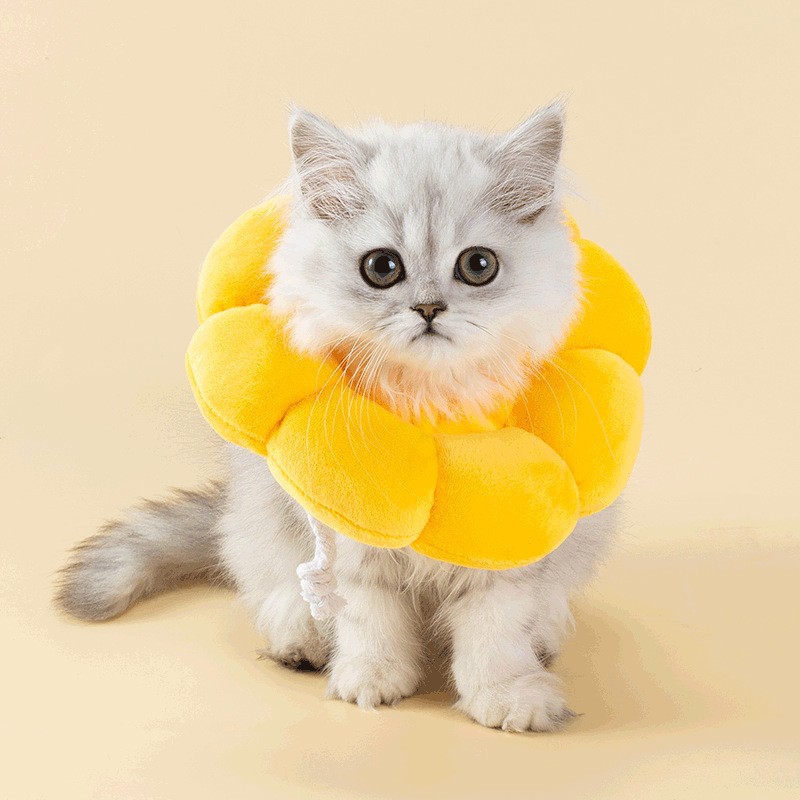 Collar de gato, anillo de Elizabeth, casco suave anti-lamiendo, perro, cuello blanco de la vergüenza, suministros para mascotas esterilizados