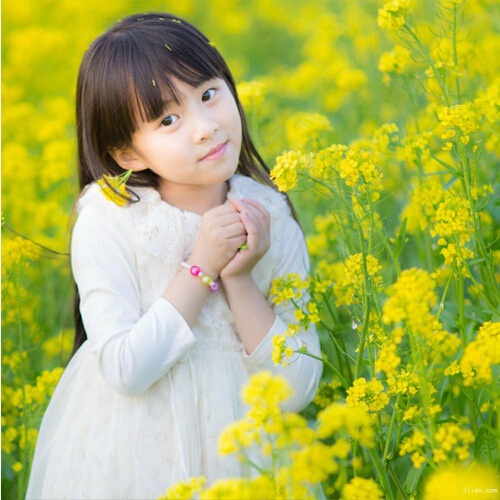 一件代发油菜籽高产榨油观赏油菜花种子榨油原料菜籽种子非转基因