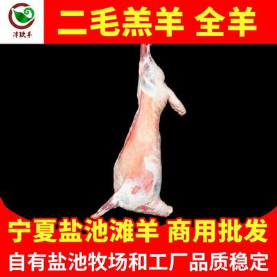 宁夏津玖羊盐池滩羊二毛羔羊白条羊烤全羊火锅烧烤食材生羊肉批发|ms