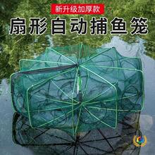抓鱼笼折叠虾笼抓黄鳝鱼网龙虾网笼捕虾网鱼网抓扑螃蟹捕鱼笼渔网
