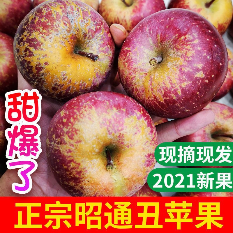 云南昭通冰糖心丑苹果9斤新鲜水果孕妇红富士苹果现货礼盒代批发