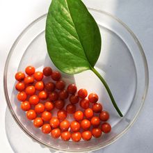 ���z�ǹ�����F؛�ښ����¶�ζ���x�����ǽ�����������~�S������