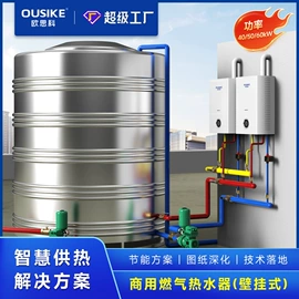 燃气锅炉;电热锅炉;燃气热水器