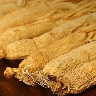 �|���˅�ginseng�˅��ݾưׅ����a�Ҝ����˅�