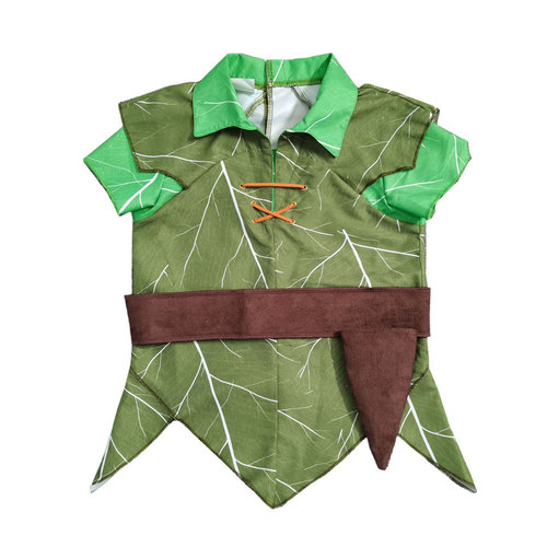 Children's Peter Pan Costume from the Movie 