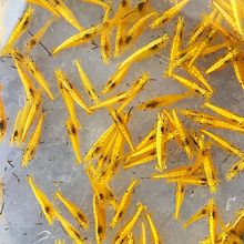 �^�p�r���r��ϵ�𱳳����坍�O���r���S��ښ������ײ�ˮ����ˮ