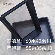 �S���x�����x���îa�ѺYʹ�ø�����Y���Sֱ�N��̫����̫����̫��