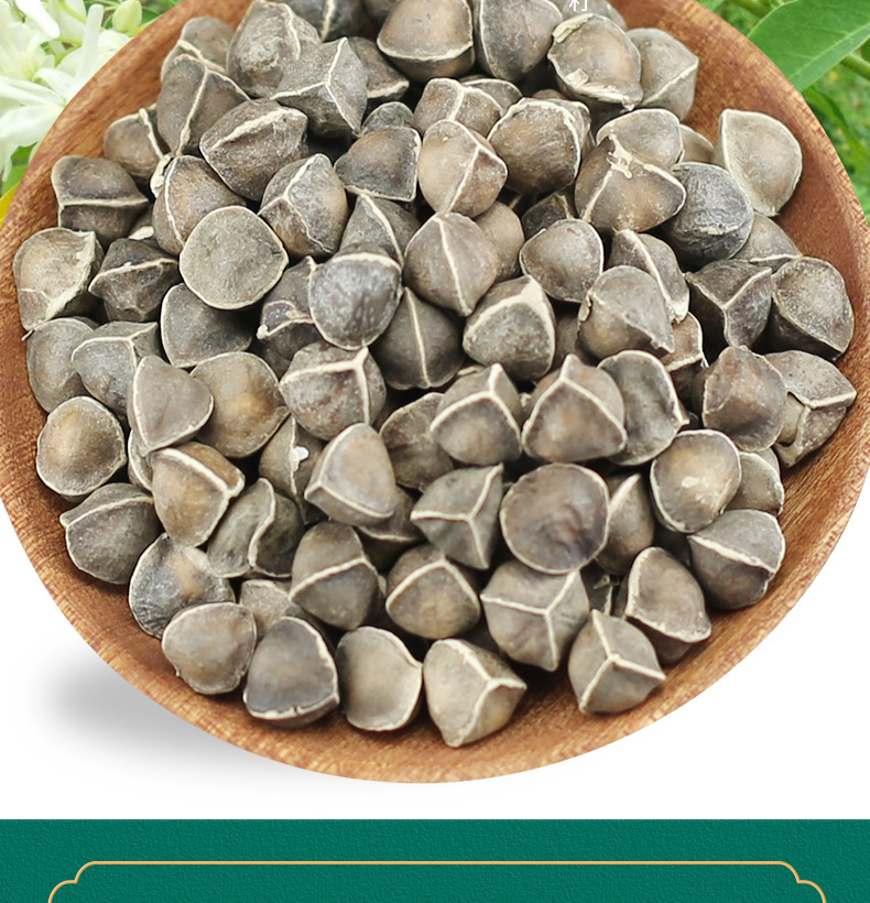 Moringa Seeds La Mu Zi Large Grade Natural Sun Dried 500g Bulk Herbal Seeds overview
