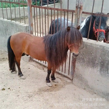 �O���m���R���w��ͯ�����R���_�R�T�˾��^����@���۵±����R�r��