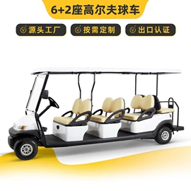 电动观光车;其他电动车