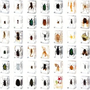 �Z�Ṥˇ�挍���x�˱��@��ϐ�ӽ���֩��������ս̌W�YƷ��֬�[��