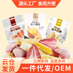 Aカレーフルーツ派冷凍乾燥果物独立包装果物サクサクヨーグルトチョコレートコーティングザクロ蓮いちごマンゴー冷凍乾燥