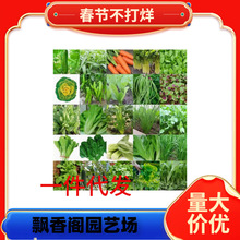 ߲˷Nļ̨̫ꖻ϶Ǹ{Sϲݮ˷NѴȫ