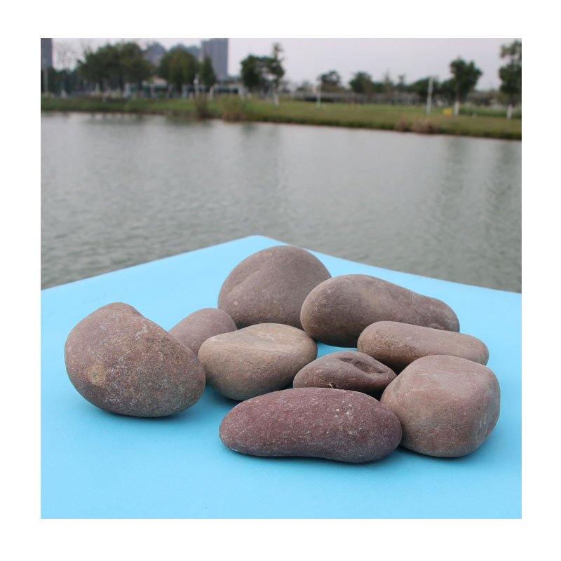 �����۹���ר����2-3cm���׶���ʯ | ѩɫ��ʯ�����Ƶ�/ͥԺ