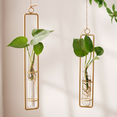 Nordic Creative Glass Vase Ceiling Pendant Living Room Wall Hanging Hydroponic Pothos Plant Container Hanging Wall Decor