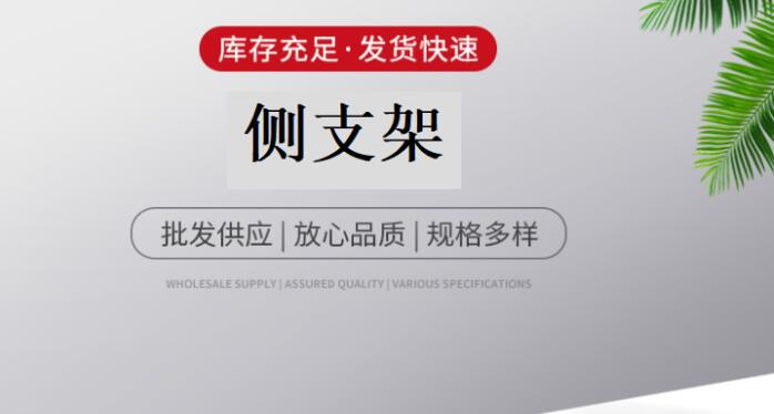 侧支架详情图