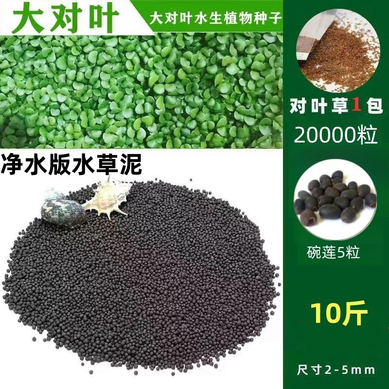 [핫세일] 워터그래스머드 5kg - 큰잎무료 20,000개 + 그릇연꽃 5개