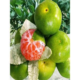 �������۽ۘ�����Ʒ�N����һ̖��������Ƥ���Ә�����ͥԺ�������