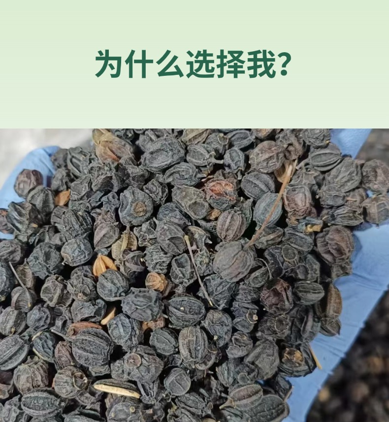 Dried Acanthopanax Senticosus Seeds Ci Wu Jia Zi Herbal Tea Ingredient 500g key features