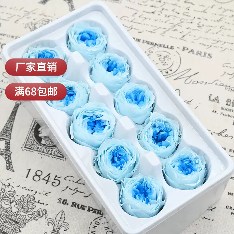 幻花永生花A级3-4奥斯汀10朵/盒diy花材材料包招财猫暴力熊奥斯丁