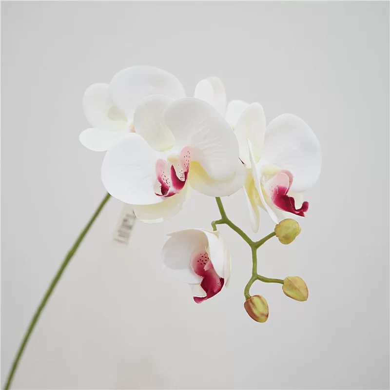 3D-Printed Phalaenopsis Artificial Flower Stem, Realistic Touch, 36 cm, 6-Bloom