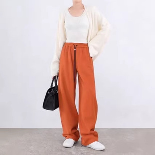 2026����ײɫ���K���_���e�\���lѝŮ�ٴ��@��